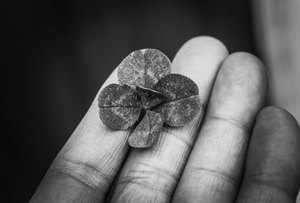tiến lên trực tuyến F8bet